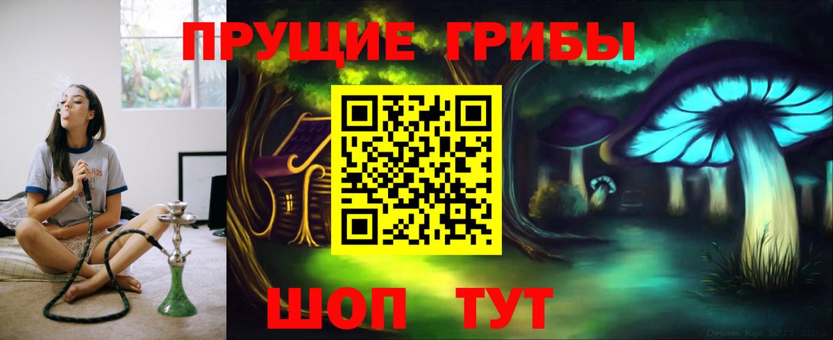 Ликино-Дулёво  Псилоцибиновые грибы GOLDEN TEACHER  Вход с VPN 